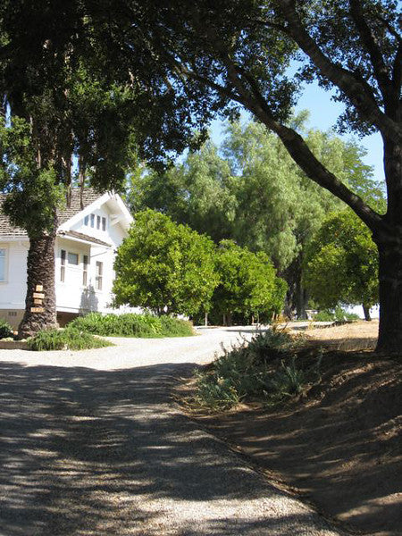 Ranches and Farms Bechtel Corp Ranch