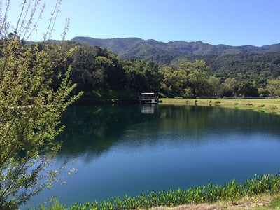 Lakes-Ponds 3100 (Gaviota)