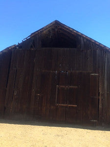 Barns 0138