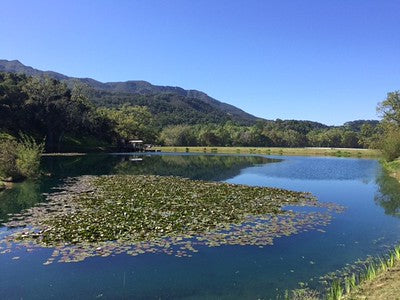 Lakes-Ponds 3100 (Gaviota)