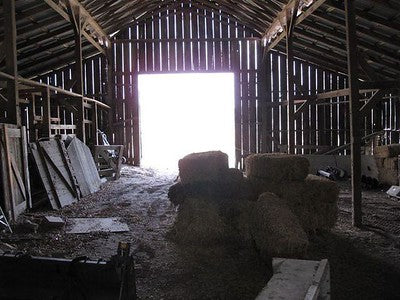 Barns 3262 (Los Alamos)