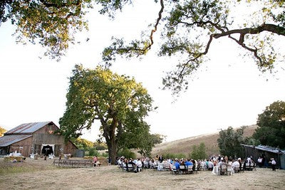 Barns 3120 (Santa Ynez)