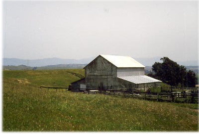 Barns 3714 (Buellton)