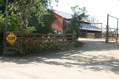 Barns 3048 (Los Olivos)