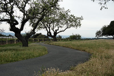 Country Houses 0084 (Santa Ynez)