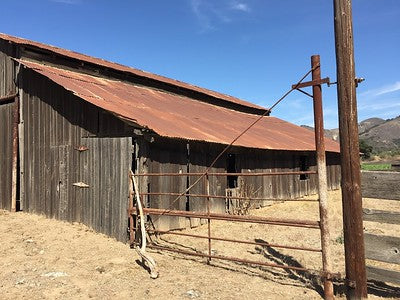 Barns 0054