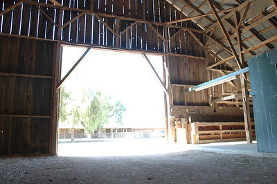 Barns 3018 (Santa Barbara)