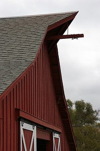 Barns 3445 (Goleta)