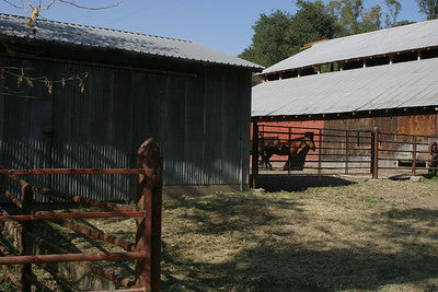 Barns 3048 (Los Olivos)