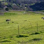 Ranches and Farms 3125