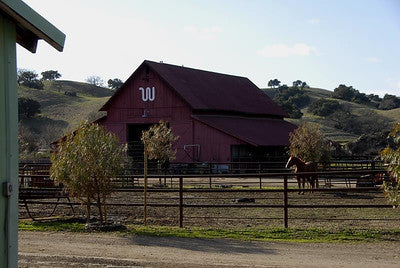 Barns 3498 (Los Olivos)