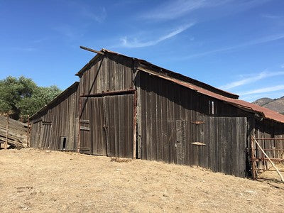 Barns 0054